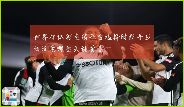 世界杯体彩竞猜平台选择时新手应该注意哪些关键要素
