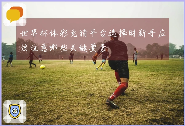世界杯体彩竞猜平台选择时新手应该注意哪些关键要素