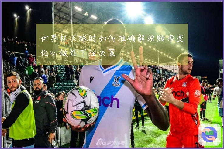 世界杯买球时如何准确解读赔率变化以做好下注决策