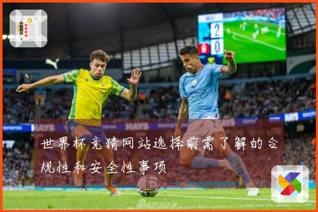 世界杯竞猜网站选择前需了解的合规性和安全性事项